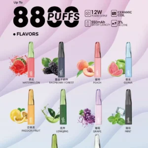 CHILL-10_1800x-1-300x300 🚀CHILL 8800 Puff|潮人最IN爆煙神器💨即開即爽